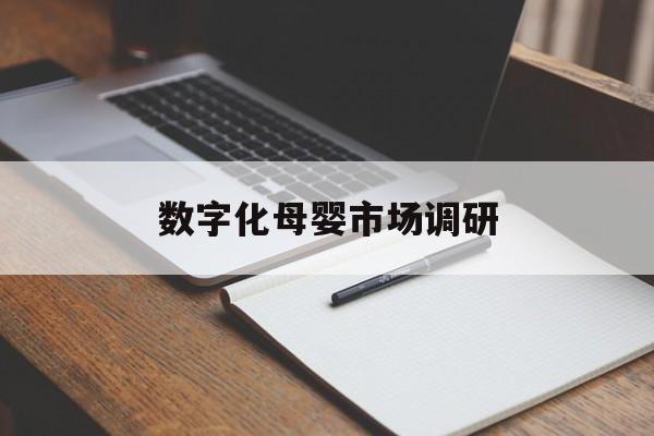 康定市数字化母婴市场调研(数字化母婴市场调研报告)